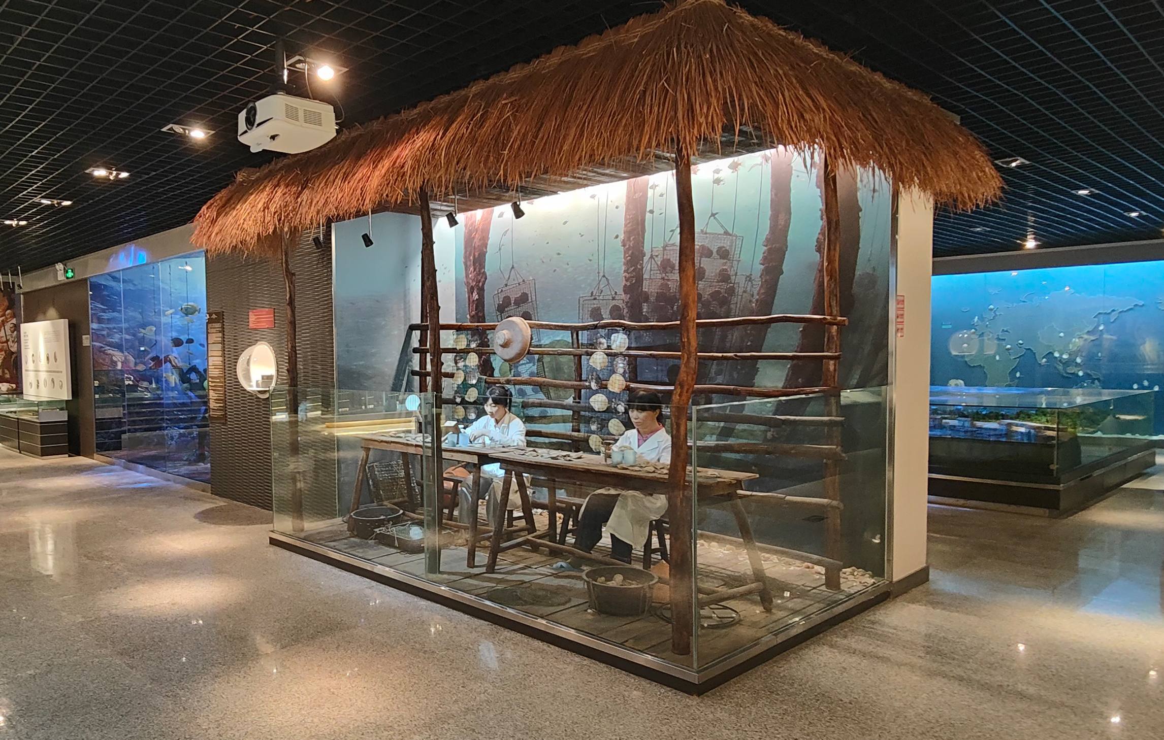 珍珠形成、养殖与加工展区